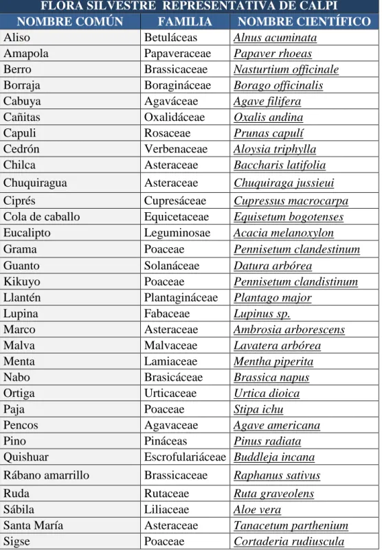 Cuadro N° 12: Flora silvestre representativa de la parroquia Santiago de Calpi. 