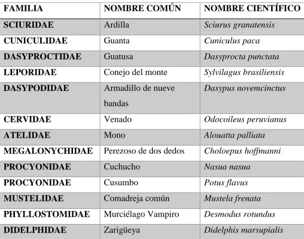 Cuadro N° 3. Especies de mamíferos del cantón 