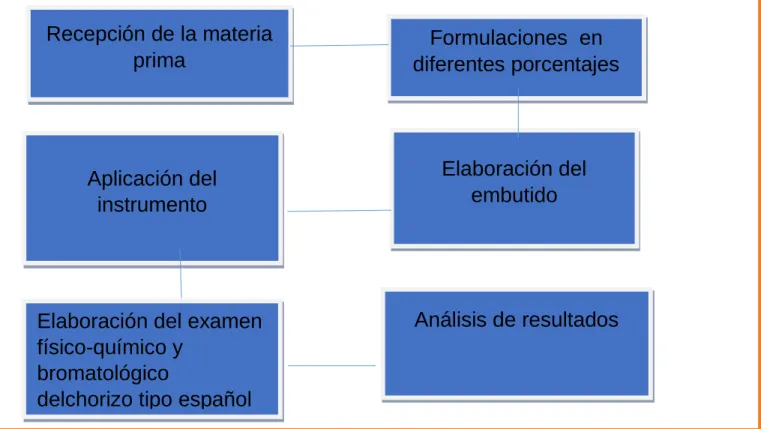 GRÁFICO DE DESCRIPCIÓN DE PROCEDIMIENTOS 