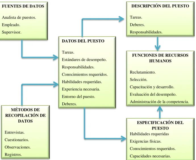 Gráfico N° 3: El proceso de Análisis de Puestos 
