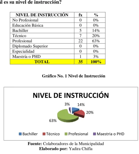 Gráfico No. 1 Nivel de Instrucción 