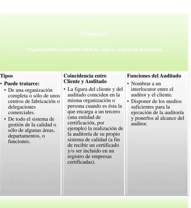Gráfico 4 : El Auditado 