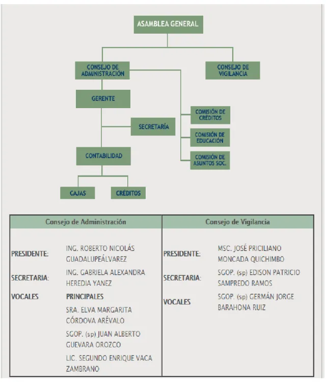 Gráfico 6 : Organigrama