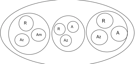 Figura 7 Reunir por semejanzas y separar por diferencias R Am Az R Am Az R AAz  m 