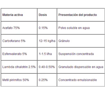 CUADRO No. 11  MATERIAS ACTIVAS 