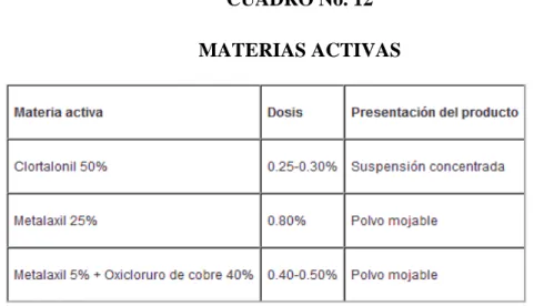 CUADRO No. 12  MATERIAS ACTIVAS 