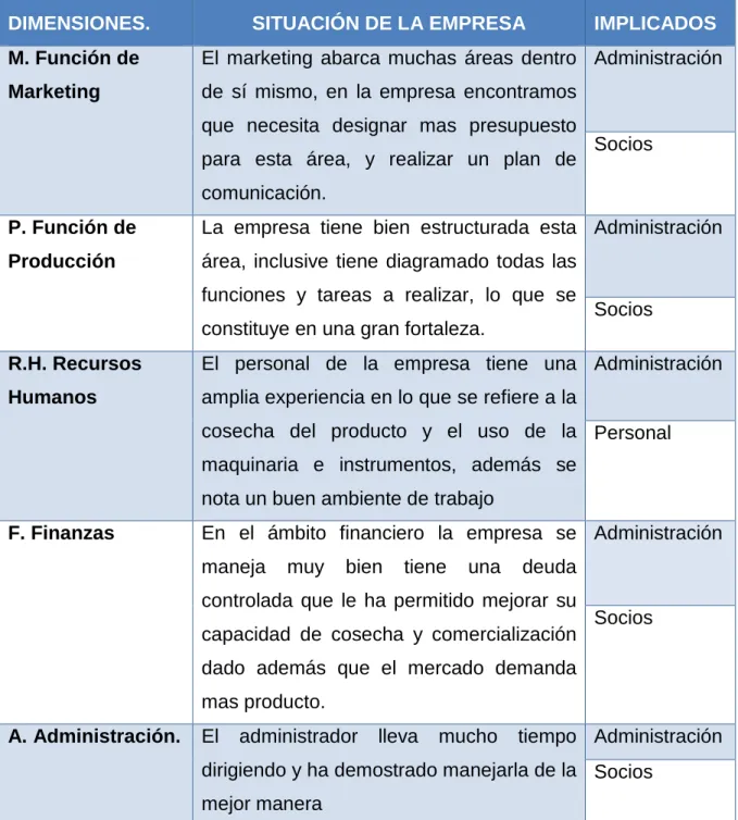 Cuadro Nº 13  Factores clave internos 