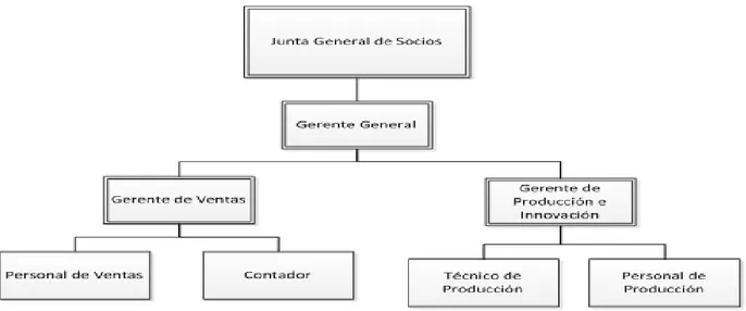 Figura 1: Estructura administrativa Apicare Cía. Ltda 