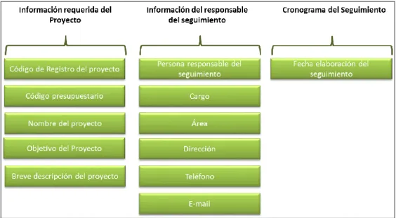 Figura 11. Formato 01 de Identificación del proyecto. 
