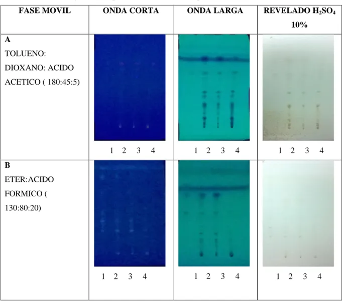 Tabla 1-3   Cromatografía de capa fina de subextractos liquénicos 