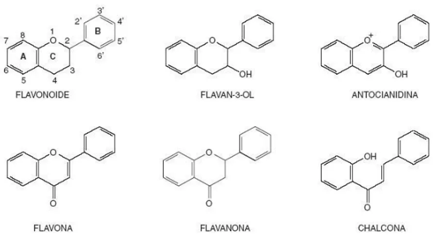 Figura 5-1: Antioxidantes flavonoides. 