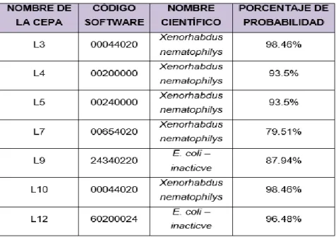 Tabla 6-3 Tipos de Bacterias 