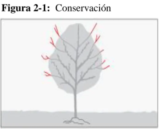 Figura 2-1:  Conservación 