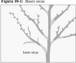 Figura 10-1:  Bases secas 