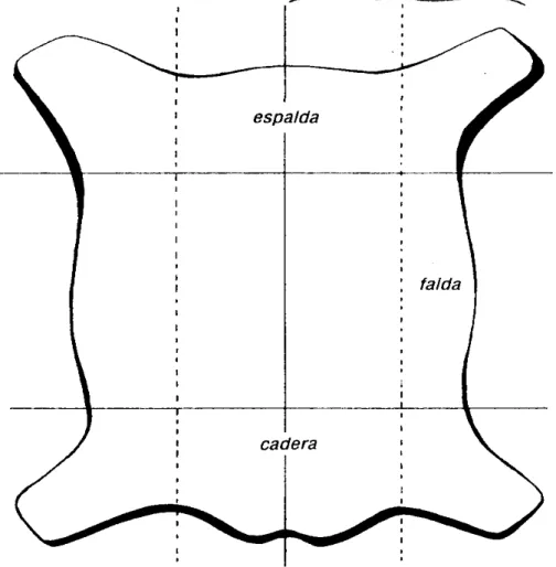 Gráfico 1.  Partes del cuero 