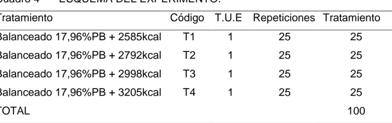 Cuadro 4  ESQUEMA DEL EXPERIMENTO. 