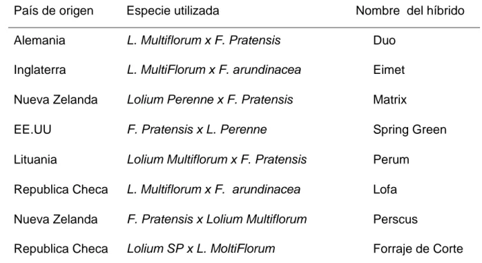 Cuadro 1.  TIPOS FESTULOLIUM COMERCIALES. 