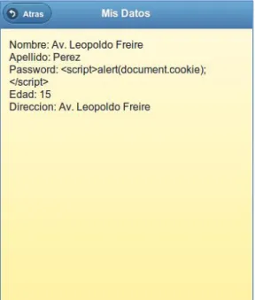 Figura II.12. Resultados del script ingresado.