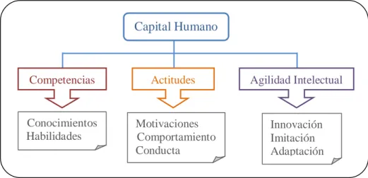 Figura II. 4.  Capital humano 