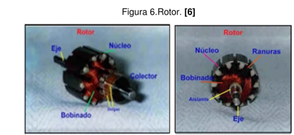 Figura 6.Rotor. [6] 