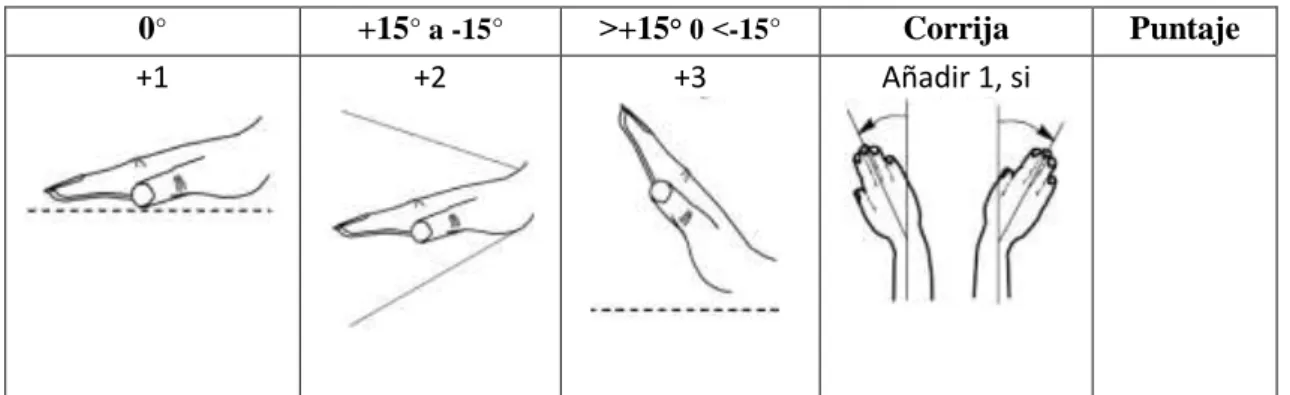 Tabla 7.  Posición de la muñeca 