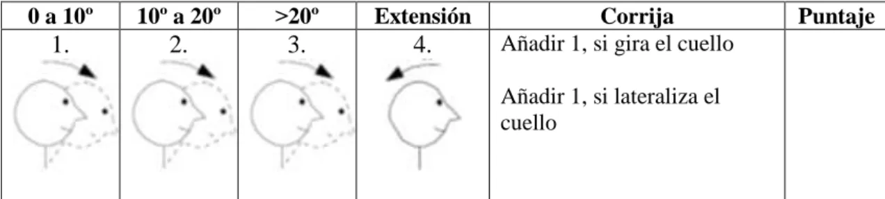 Tabla 12.  Posición del cuello 