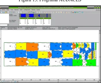 Figura 13. Programa AUDACES 