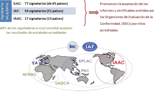 Figura 6. Dimensión Internacional del OAE 