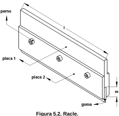Figura 5.2. Racle. 