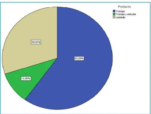 Gráfico N° 15. Ocupación turistas nacionales Fuente: Trabajo de campo, 2014  Elaborado por: Pablo Jácome, 2015 