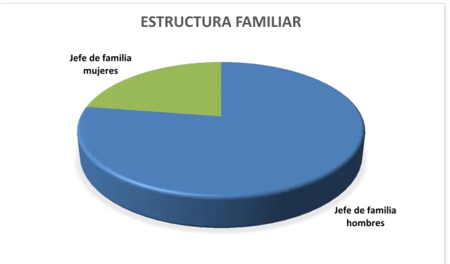 Gráfico 4 Estructura familiar en la parroquia de Pungalá 