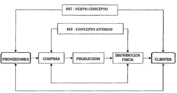 Gráfico N°9: Extensión del concepto de SST 