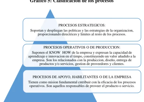 Gráfico 5: Clasificación de los procesos 