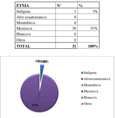 Tabla N°5: Identificación Étnica