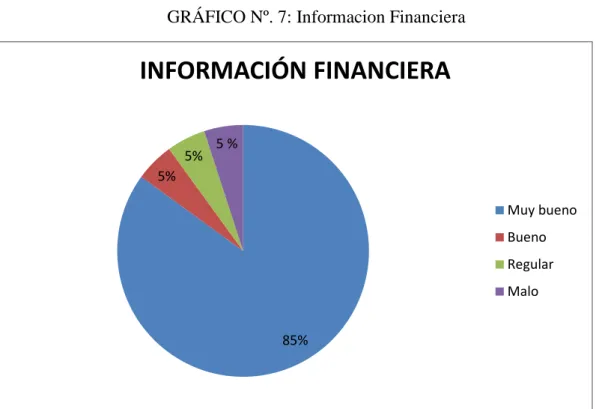 GRÁFICO Nº. 7: Informacion Financiera