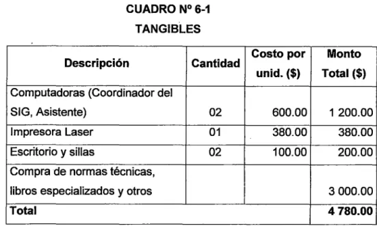 CUADRO N° 6-2  INTANGIBLES  Descripción 