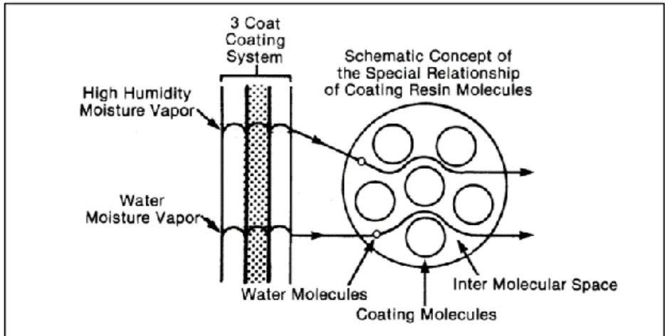 Figura  15:  Transferencia  de  humedad en  un  recubrimiento  con excelente adhesión [1]