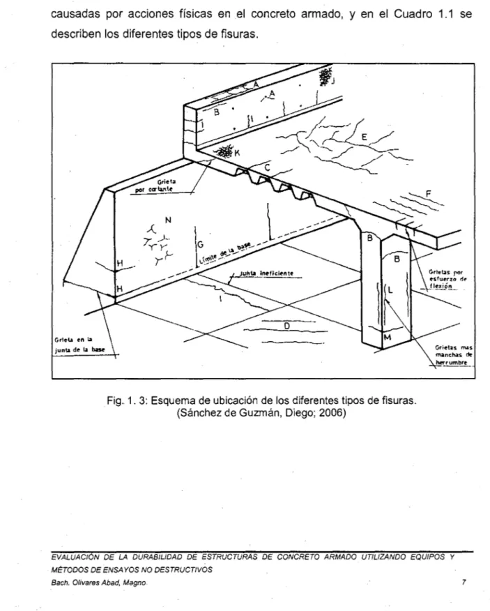 Fig.  1.  3:  Esquema de ubicación de los diferentes tipos  de fisuras. 