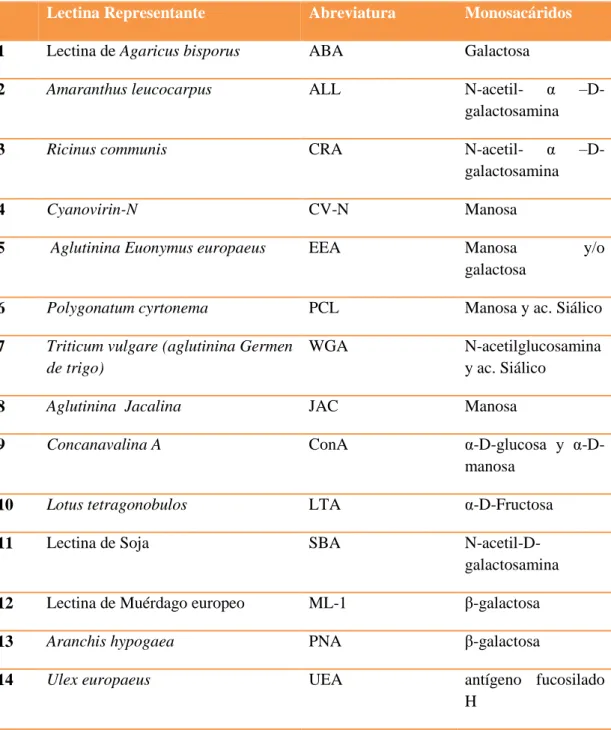 Tabla 10-1. Principales Lectinas Vegetales y su clasificación según su especificidad hacia       monosacáridos 