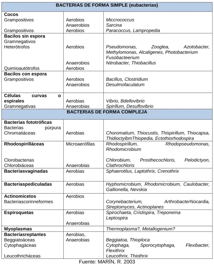 TABLA N° 3: BACTERIAS PRESENTES EN EL AGUA. 