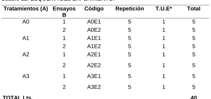 Cuadro 12. ESQUEMA DEL EXPERIMENTO. 