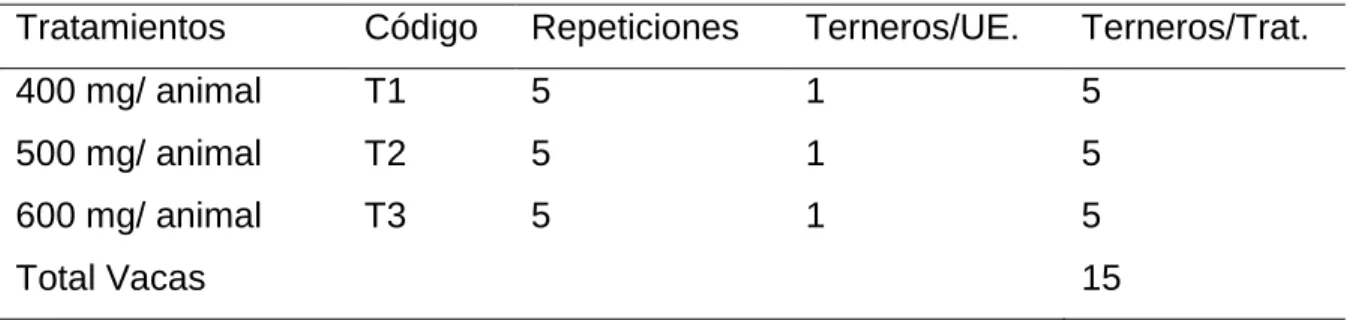 Cuadro 2.     ESQUEMA DEL EXPERIMENTO. 