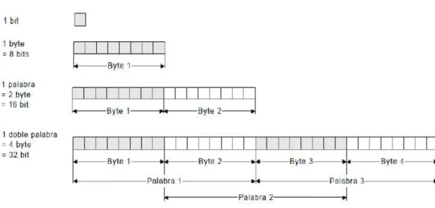 Figura II.05 Bit, Byte y palabra 