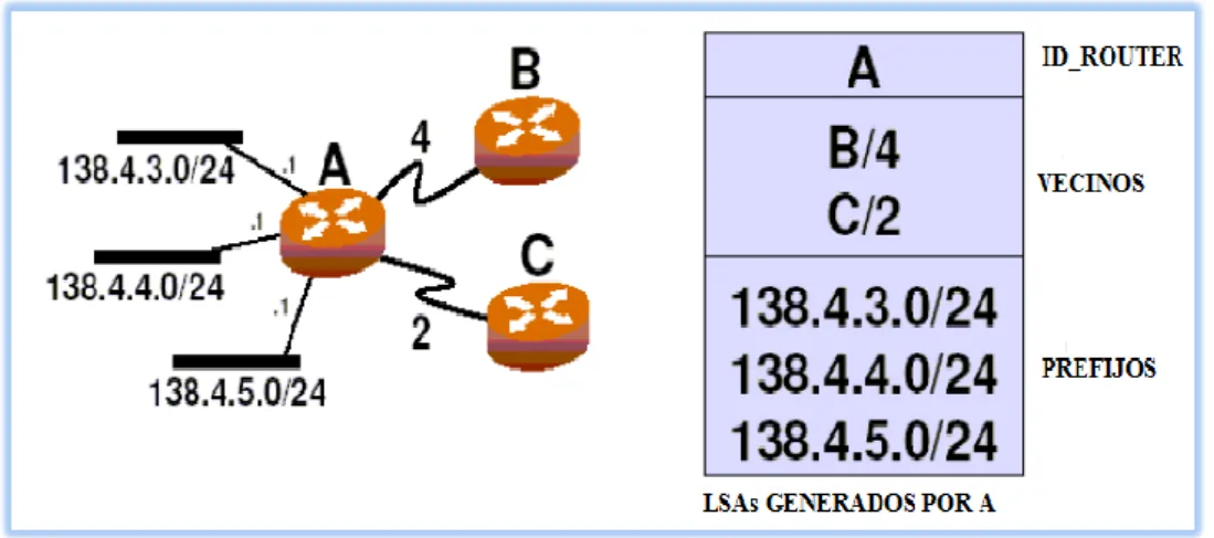 Figura II 11.- Algoritmo de Estado de Enlace (LSA) 