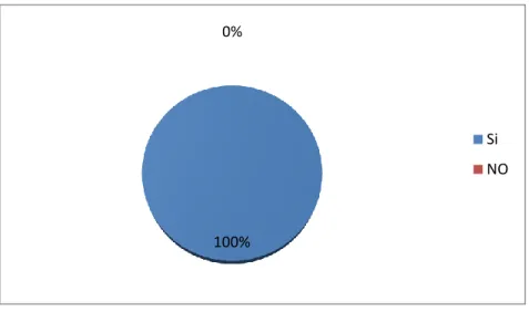 Gráfico N° 6 