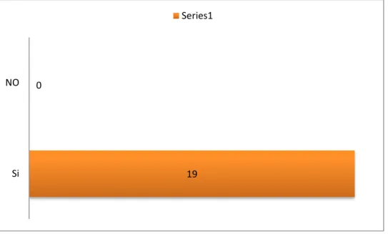 Gráfico N° 9 190SiNOSeries1