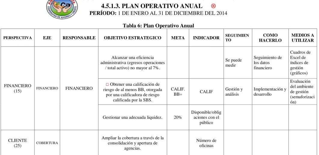 Tabla 6: Plan Operativo Anual 