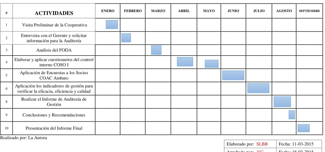 Tabla 7: Cronograma de Actividad 