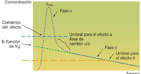 Figura 11-1. Curso temporal de una BZD administrada por vía oral, que sigue un modelo  bicompartimental  