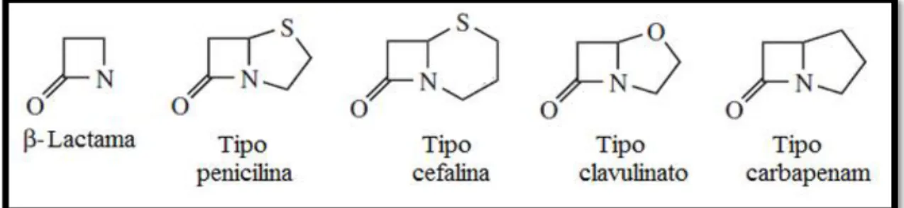 Figura 9-1: Estructura química de los β-lactámicos. 